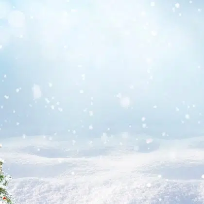 Beautiful Festive Christmas snowy background. Christmas tree decorated with red balls and knitted toys in forest in snowdrifts in snowfall outdoors, banner format, copy space.