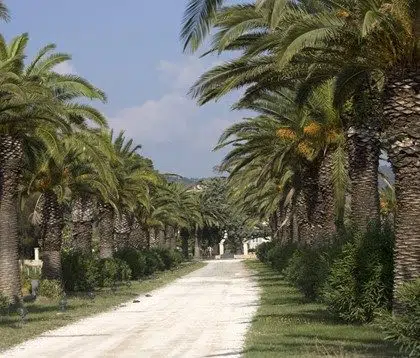 domaine anglades vignoble camping hyeres vin