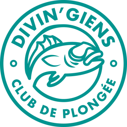 logo divin