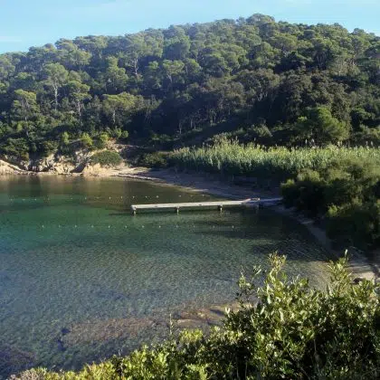 plage de port man port cros