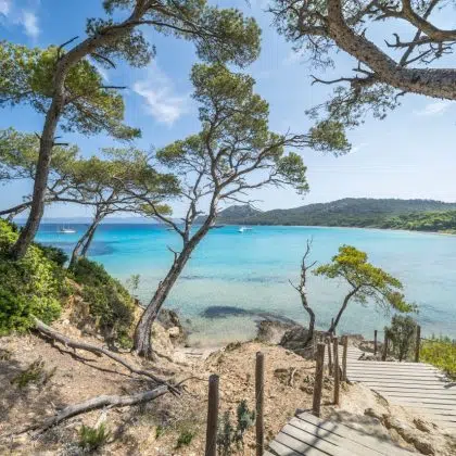 World famous beautiful Notre Dame beach (Plage Notre-Dame) on Porquerolles island (l'île de Porquerolles), France