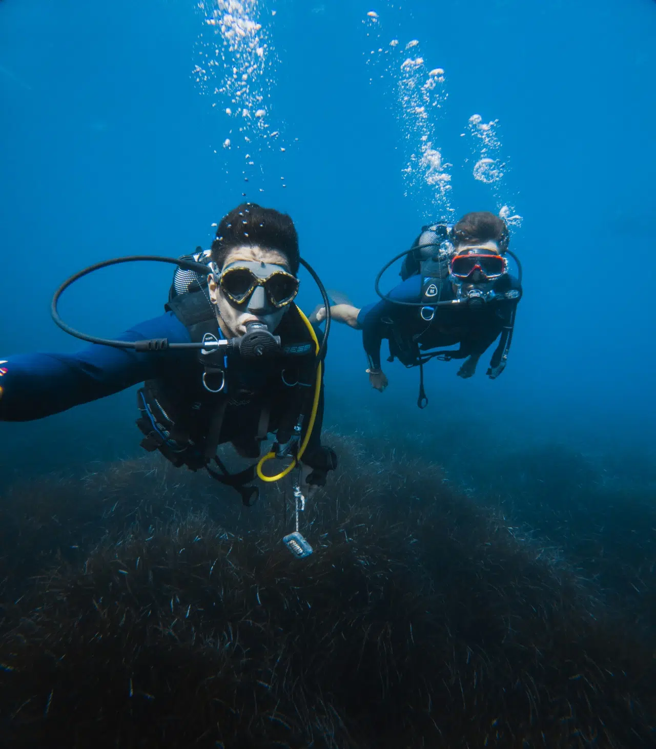 Plongée sous-marine