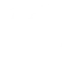 logo petit fute.png