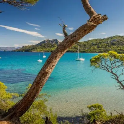 Vers les Iles d'Or 4 ile porquerolles